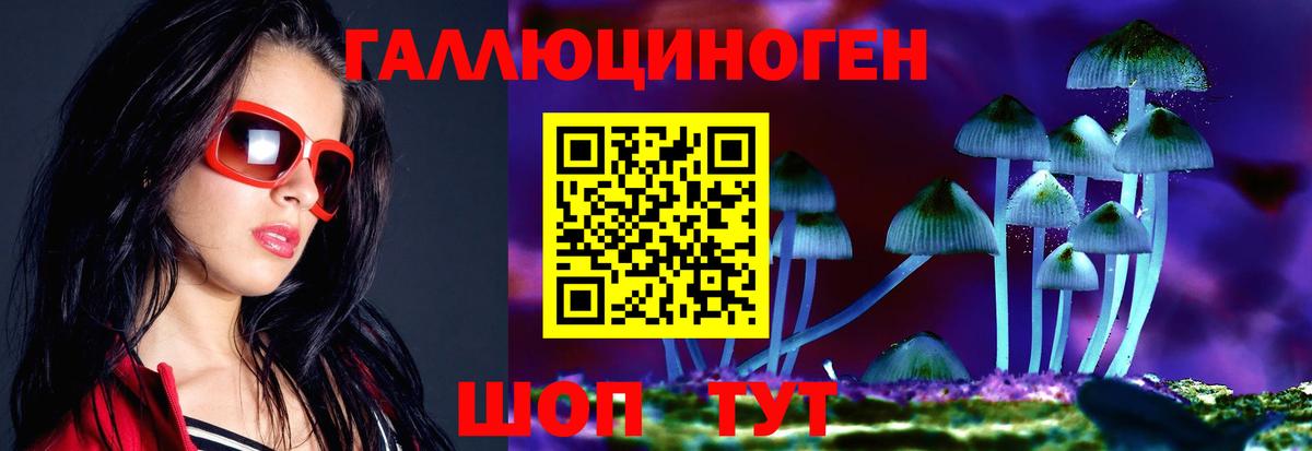 Балтийск  Псилоцибиновые грибы MAGIC MUSHROOMS  Вход с VPN 